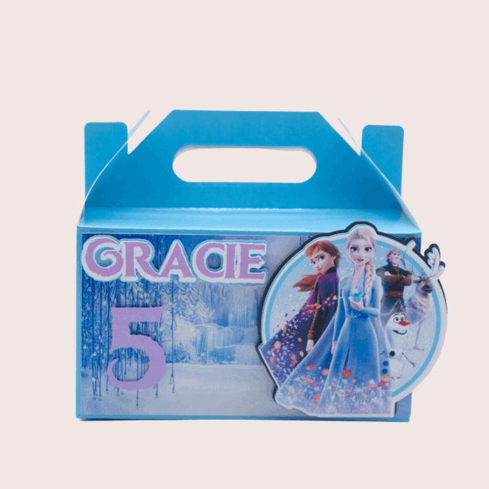 Frozen Party Box