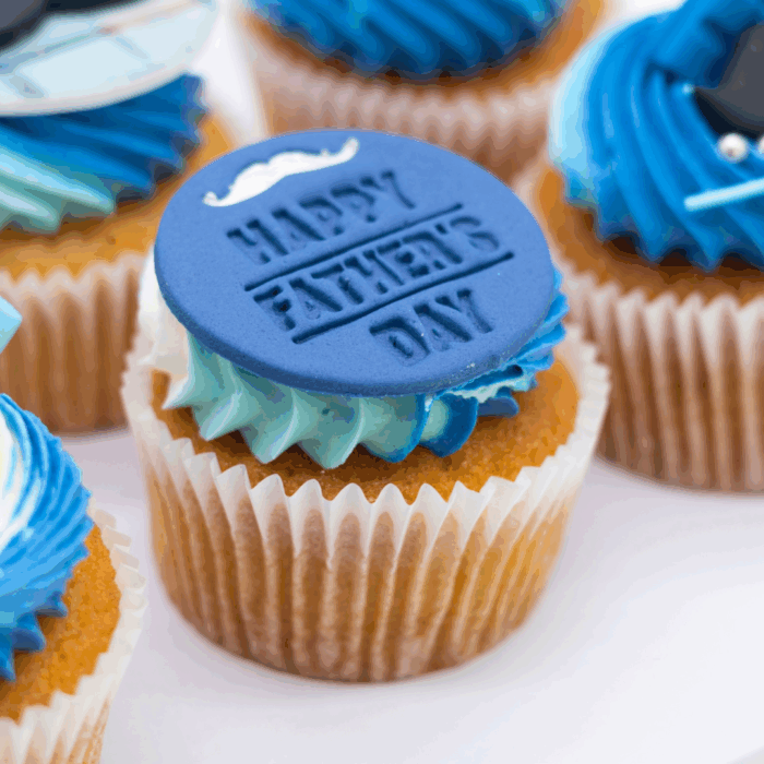 fathers day cupcake set