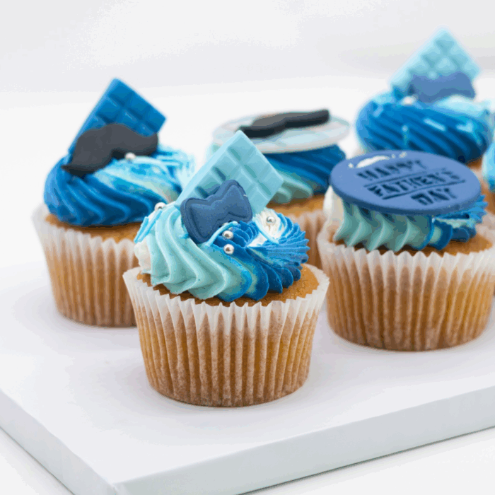 fathers day cupcake set